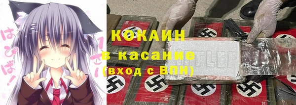 мдпв Богородицк